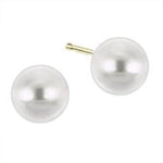 14k Gold White Cultured Pearl Earring Stud (6.0 mm) - JewelryNest