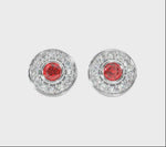 14k Gold Diamond Ruby Donut Gallery Back Earring  Video