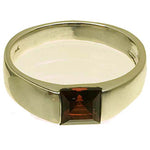 Sterling Silver Tank Square Garnet  Ring (1.0.ct.tw)