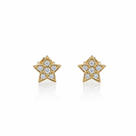 Yellow Gold Star Stud - White BG
